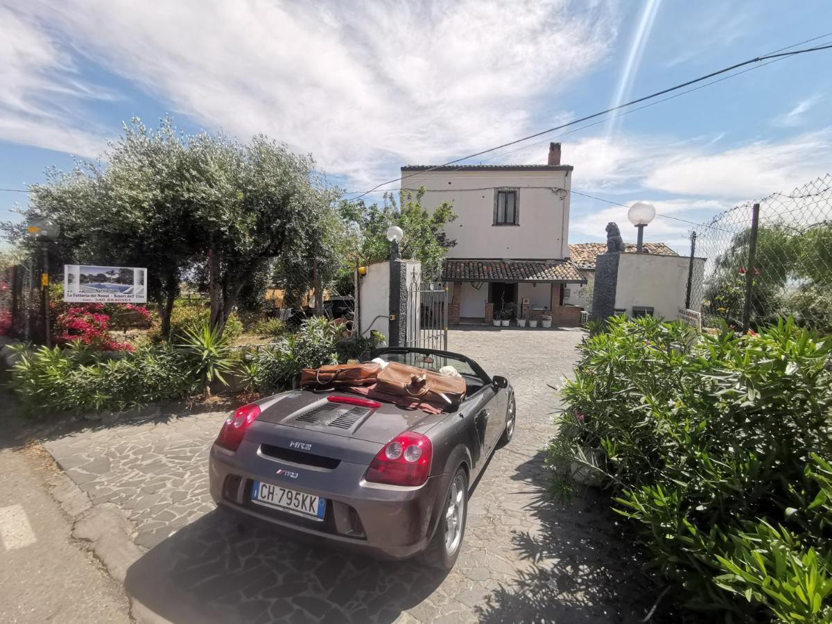 La Fattoria Dei Nonni Casa de hóspedes Paterno  Exterior foto