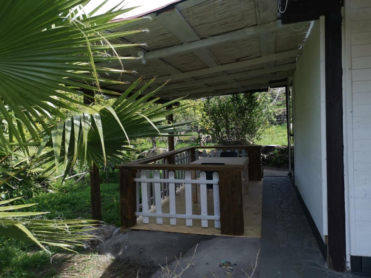 La Fattoria Dei Nonni Casa de hóspedes Paterno  Exterior foto