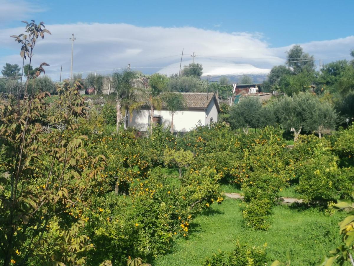 La Fattoria Dei Nonni Casa de hóspedes Paterno  Exterior foto