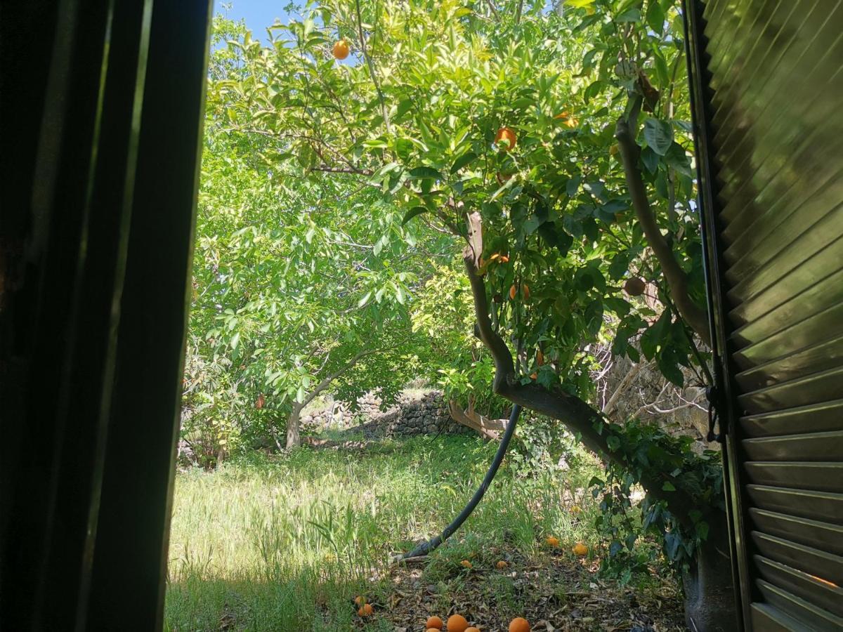 La Fattoria Dei Nonni Casa de hóspedes Paterno  Exterior foto