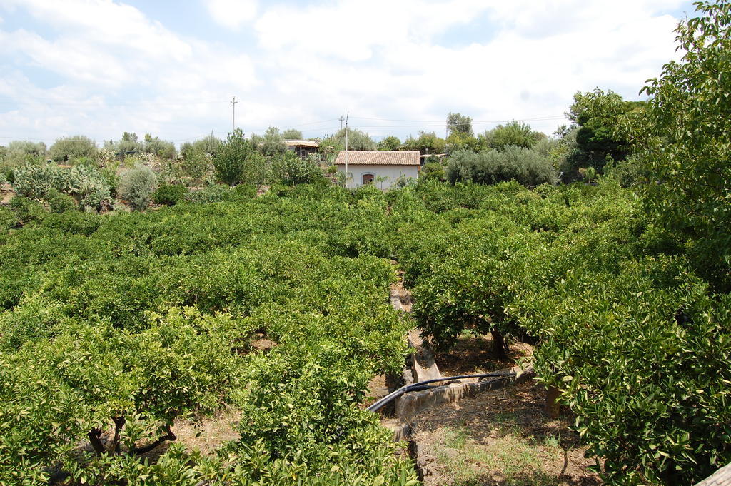 La Fattoria Dei Nonni Casa de hóspedes Paterno  Exterior foto