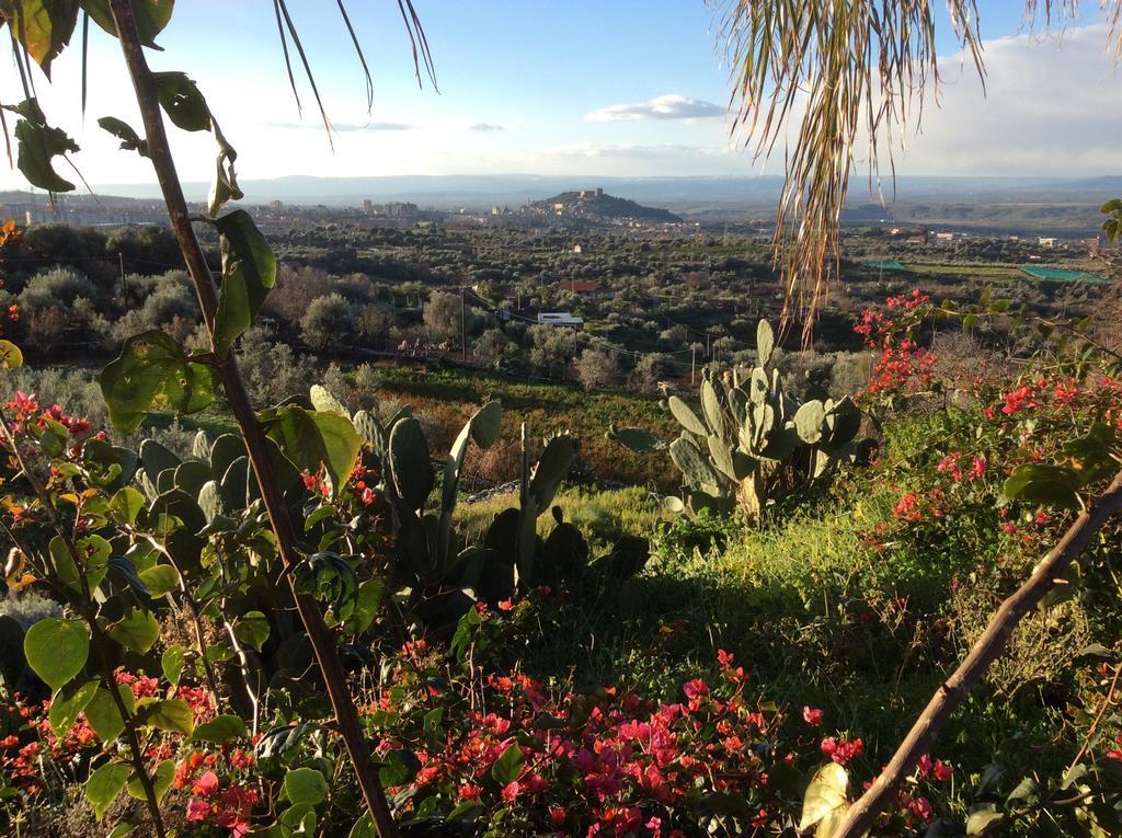 La Fattoria Dei Nonni Casa de hóspedes Paterno  Exterior foto