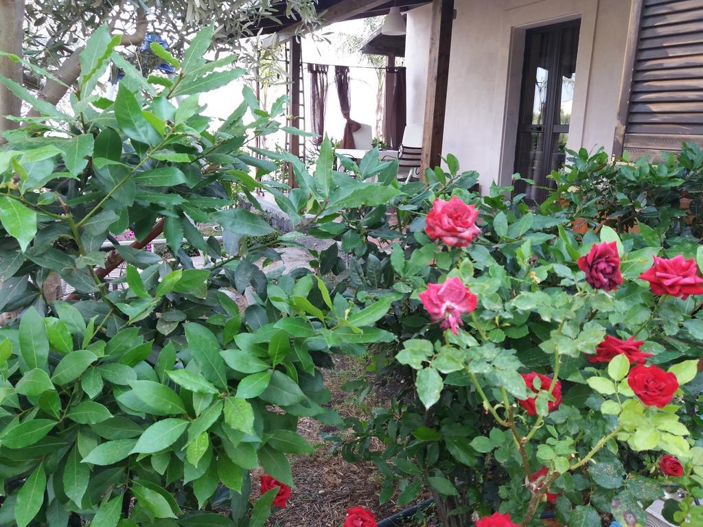 La Fattoria Dei Nonni Casa de hóspedes Paterno  Exterior foto